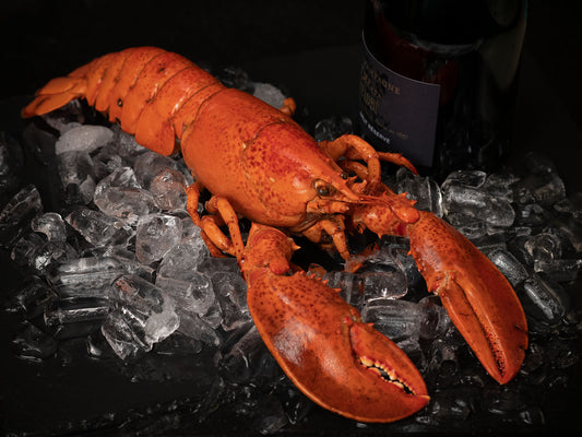 hummer köpa hummer köpa hem hummer köpa fisk köpa skaldjur hemleverans stockholm fisk och skaldjur av finaste kvalitet fiskbilen Sigges fisk